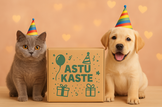 Astu Kaste 🎂 Happy Birthday Box 🎂