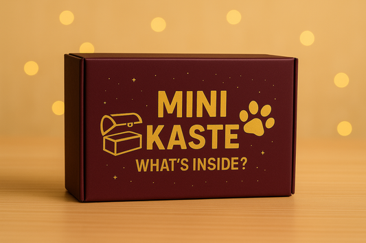 Mini Kaste 🎁